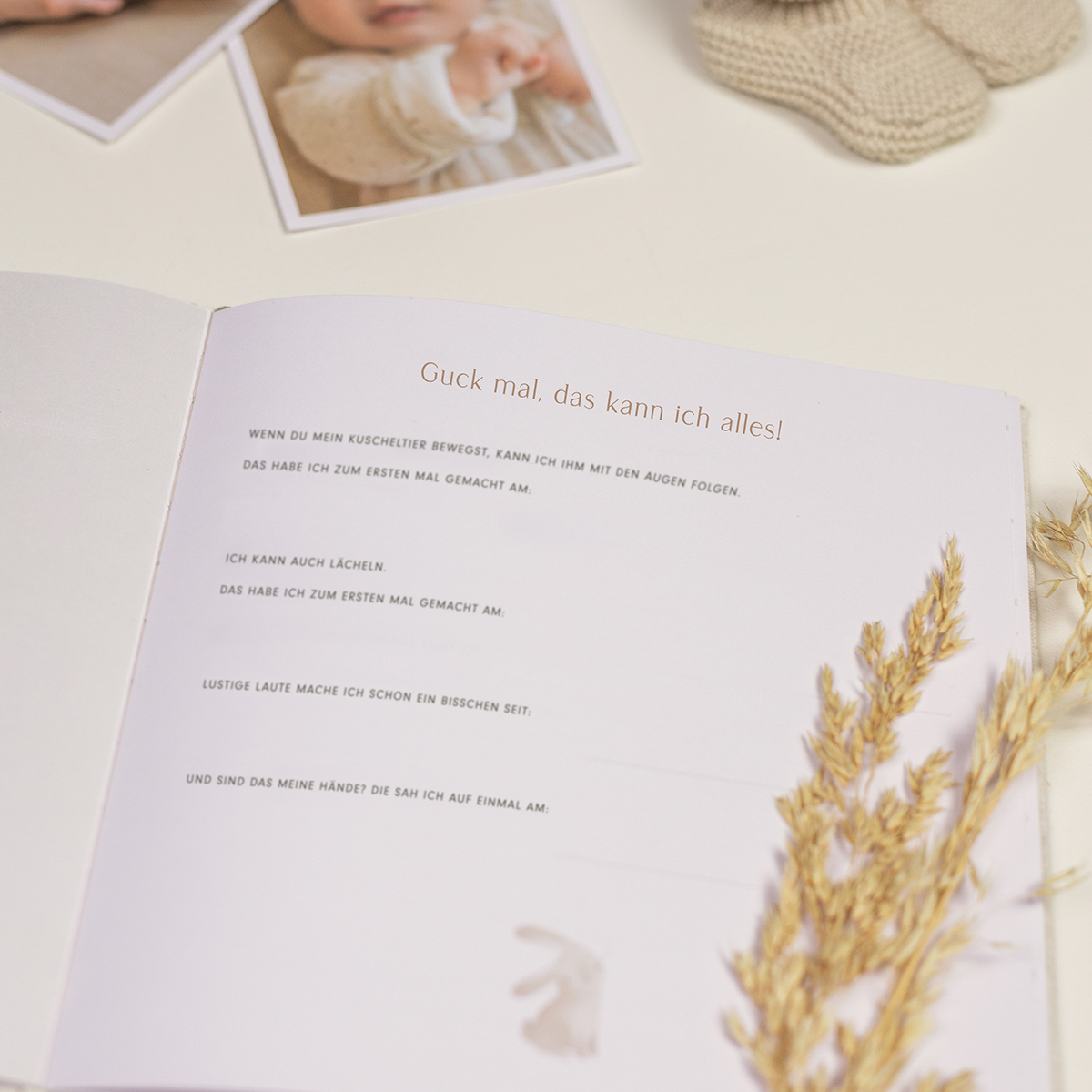 Baby erstes Jahr Buch Baby Bunny Baby erstes Jahr Buch Baby Bunny