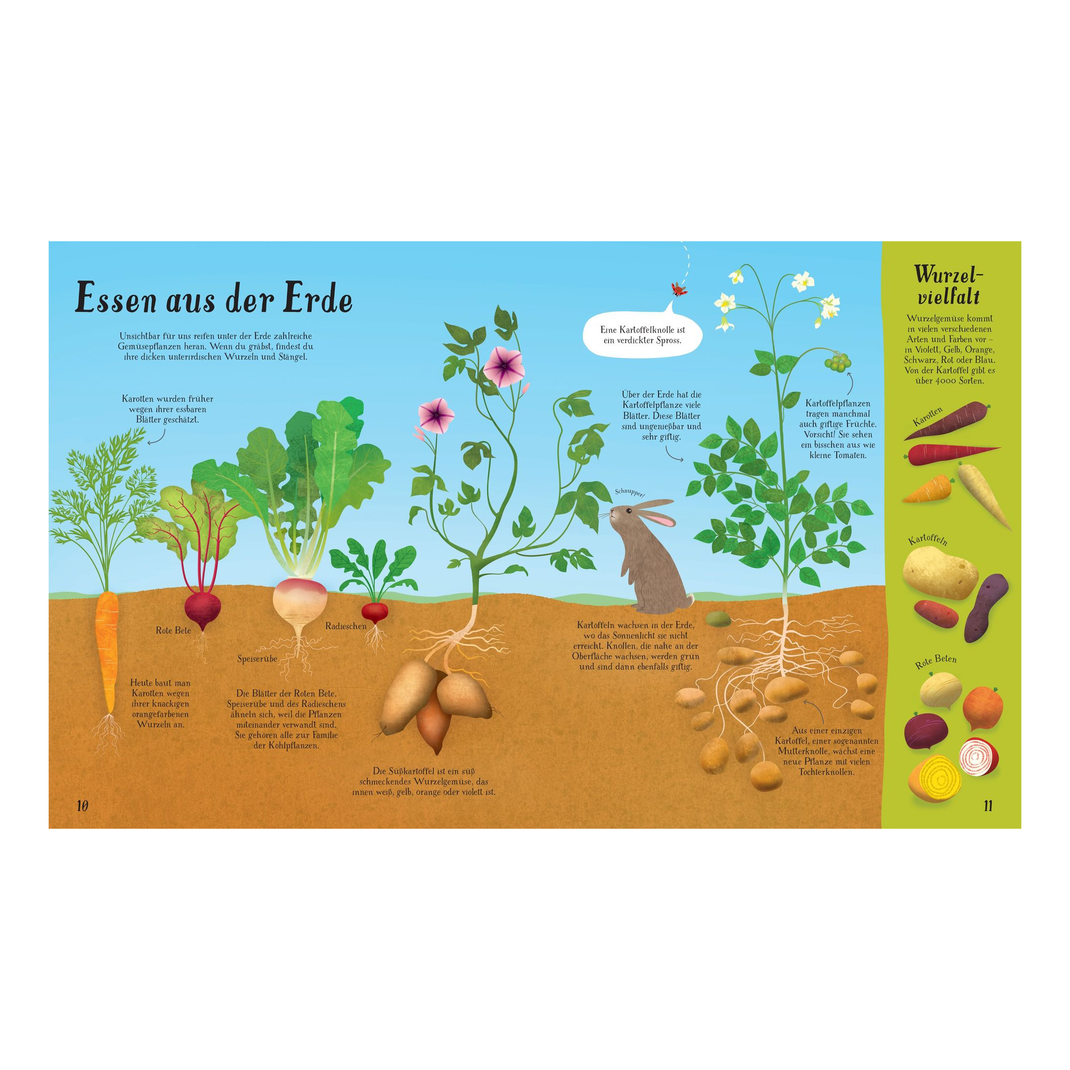 So wächst unser Essen!