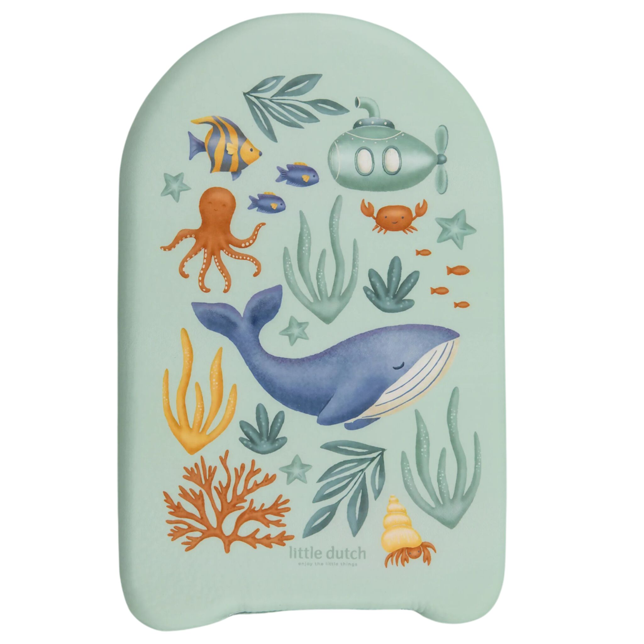 Bodyboard Ocean World