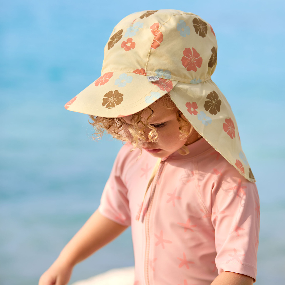 Sonnenhut Flowers Sonnenhut Flowers