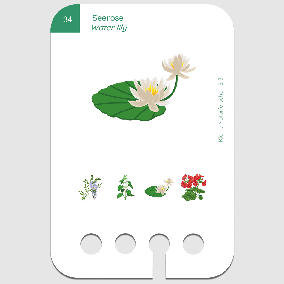 Lochkasten Kartensatz 2-3 Kleine Naturforscher Lochkasten Kartensatz 2-3 Kleine Naturforscher