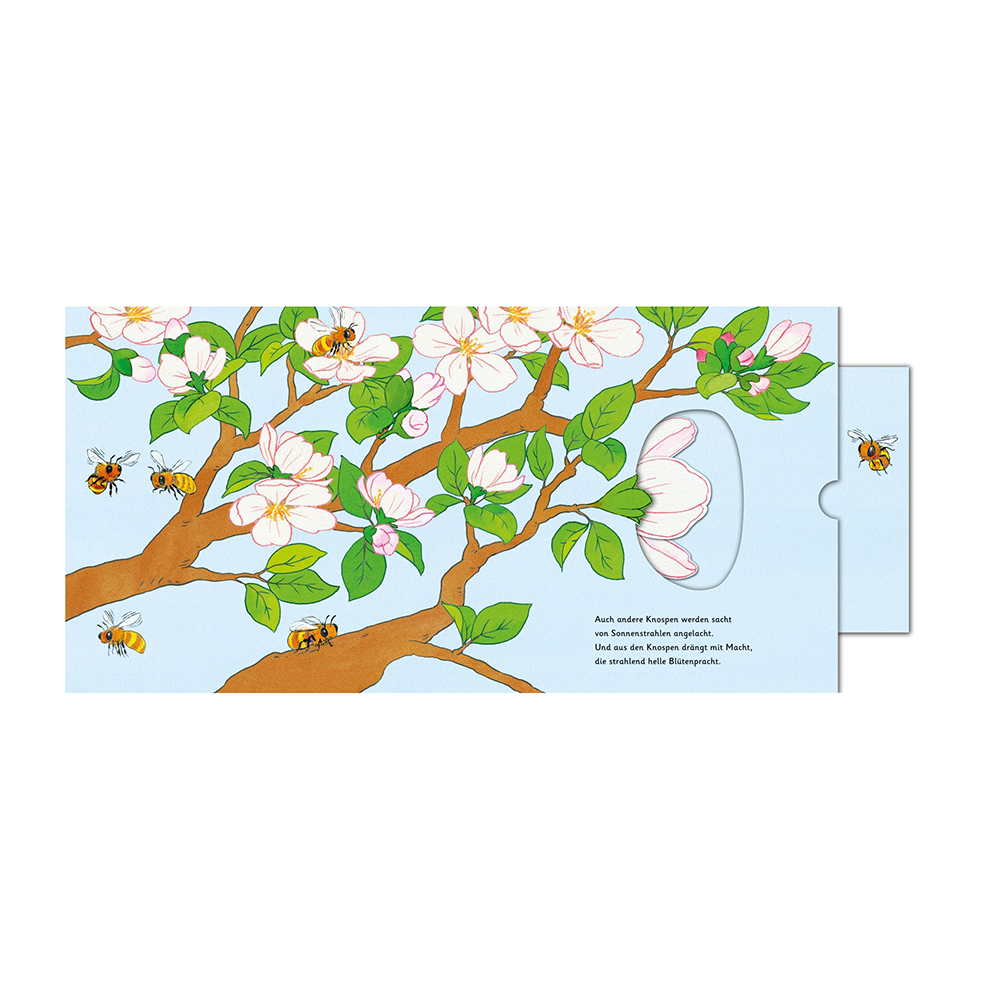 Das Apfelwunder Das Apfelwunder