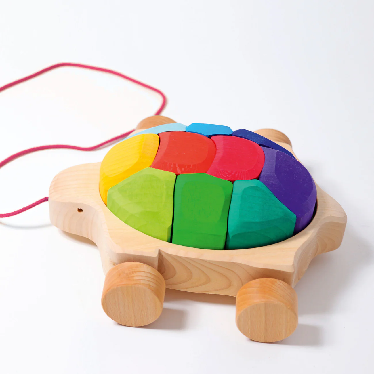 Regenbogen Schildkröte