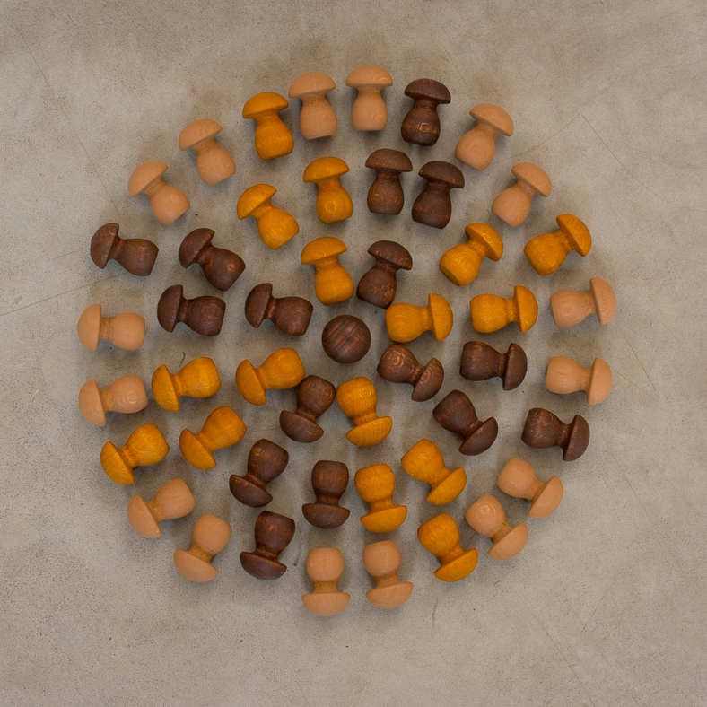 Mandala Set Mushrooms