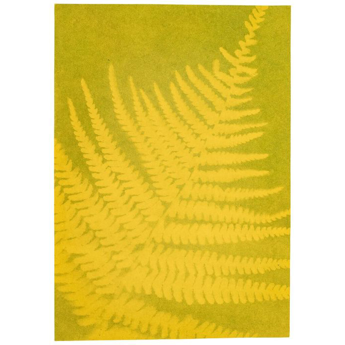 Buntes Sonnendruckpapier Buntes Sonnendruckpapier