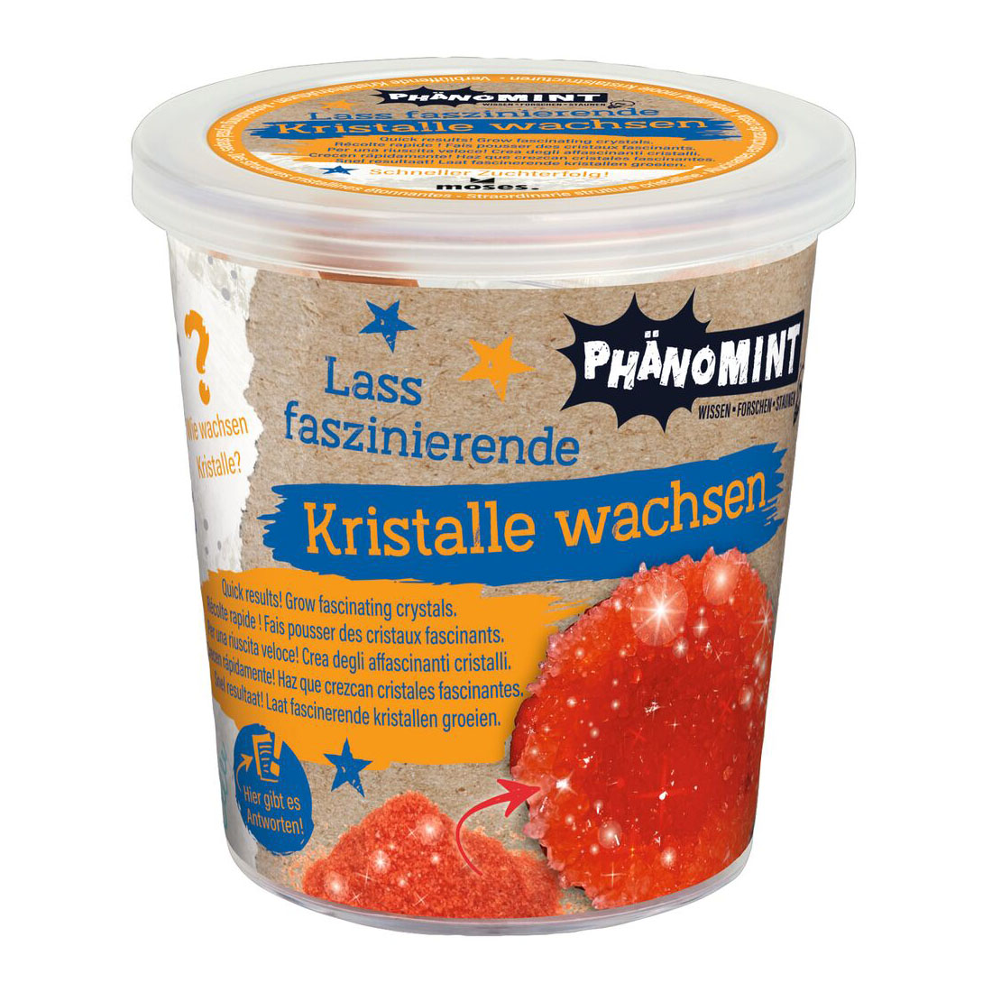 PhänoMINT Kristalle züchten