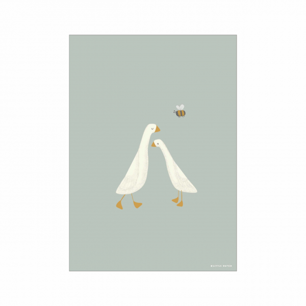 Poster Little Goose