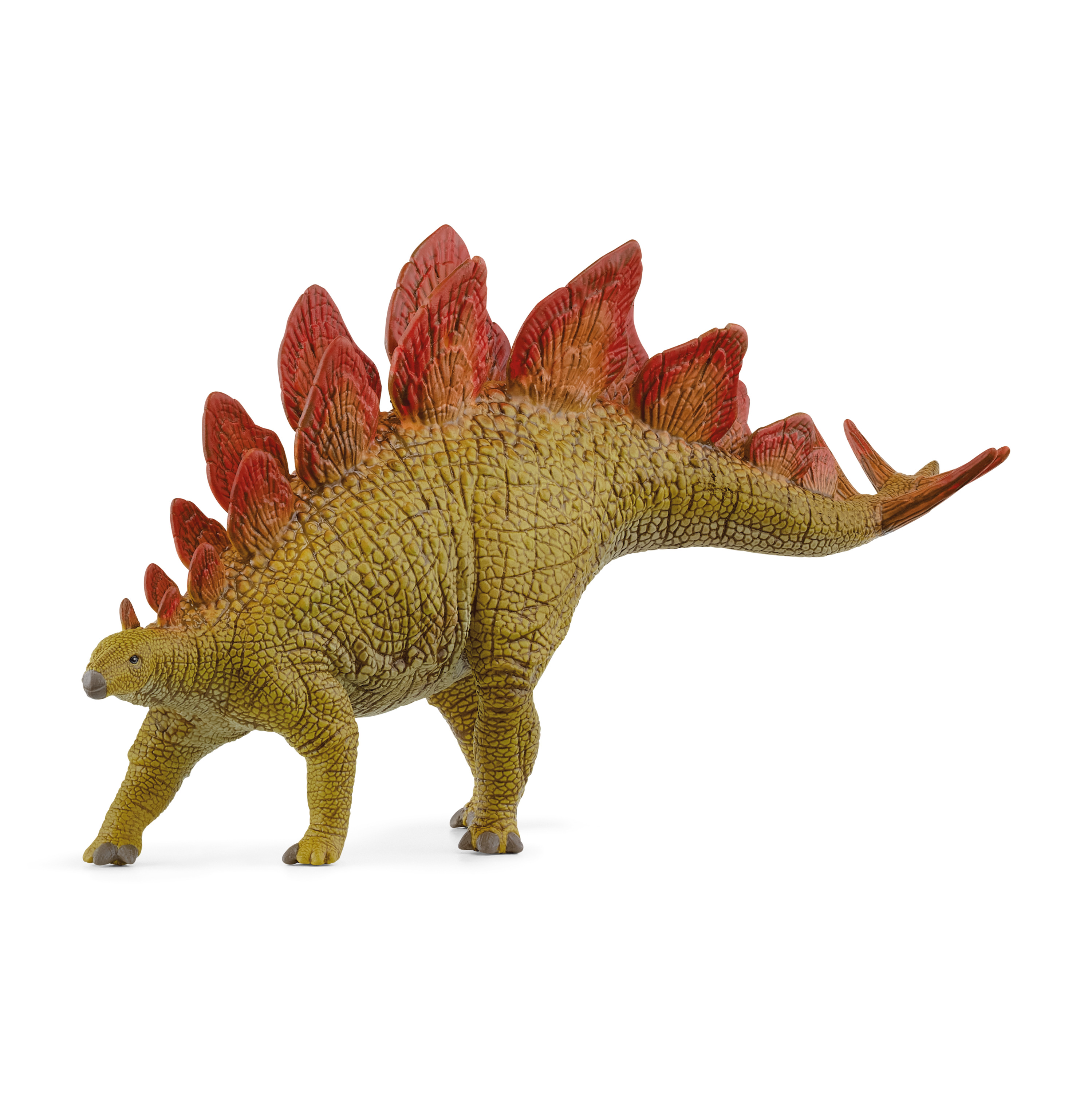 Stegosaurus Stegosaurus