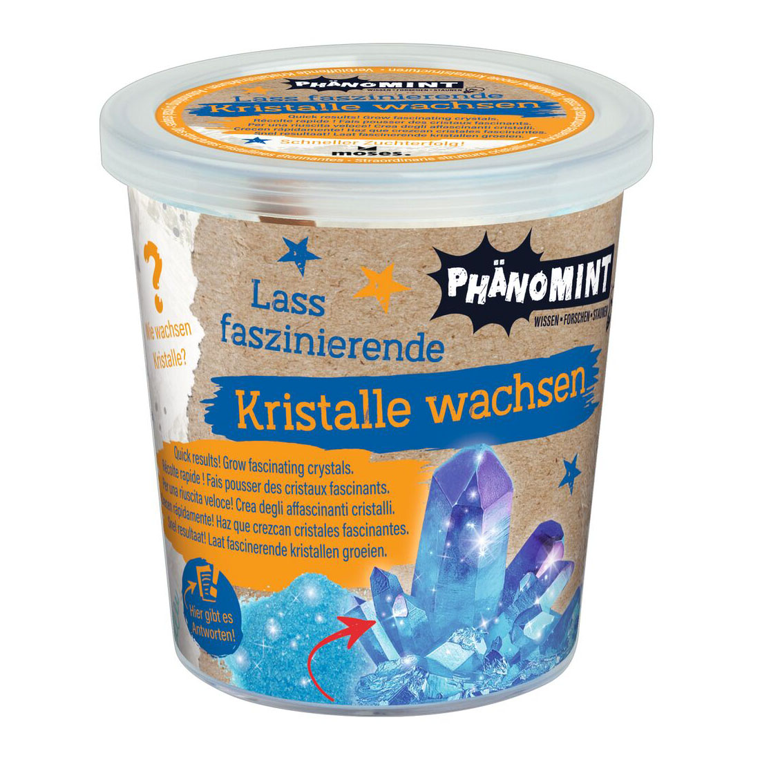 PhänoMINT Kristalle züchten