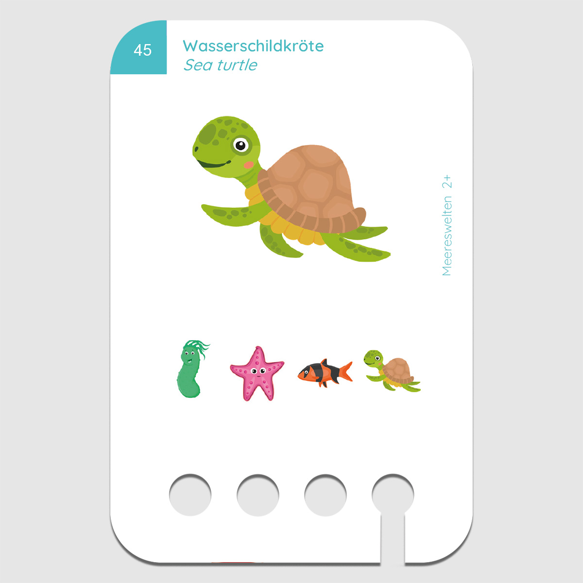 Lochkasten Kartensatz 2+ Wasserwelten Lochkasten Kartensatz 2+ Wasserwelten