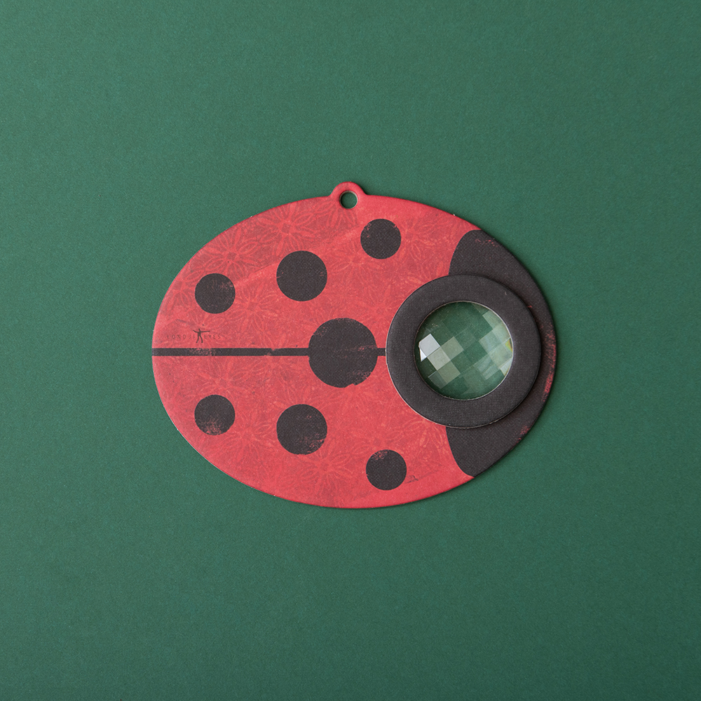 Kaleidoskop Insect Eye Ladybird 