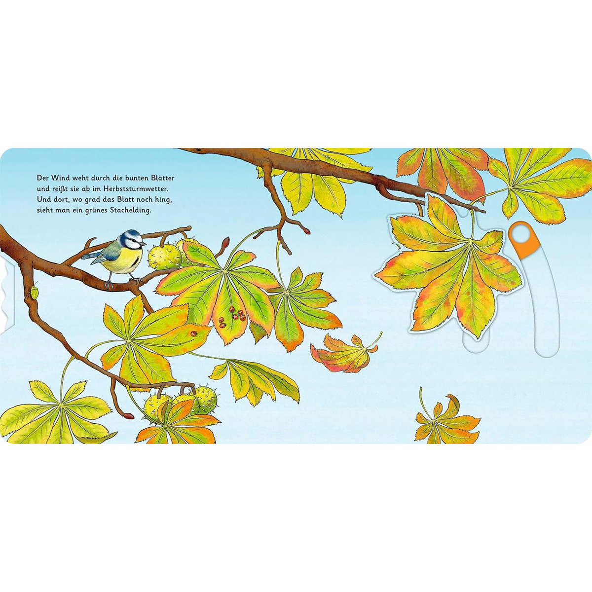 Das Kastanienwunder Das Kastanienwunder