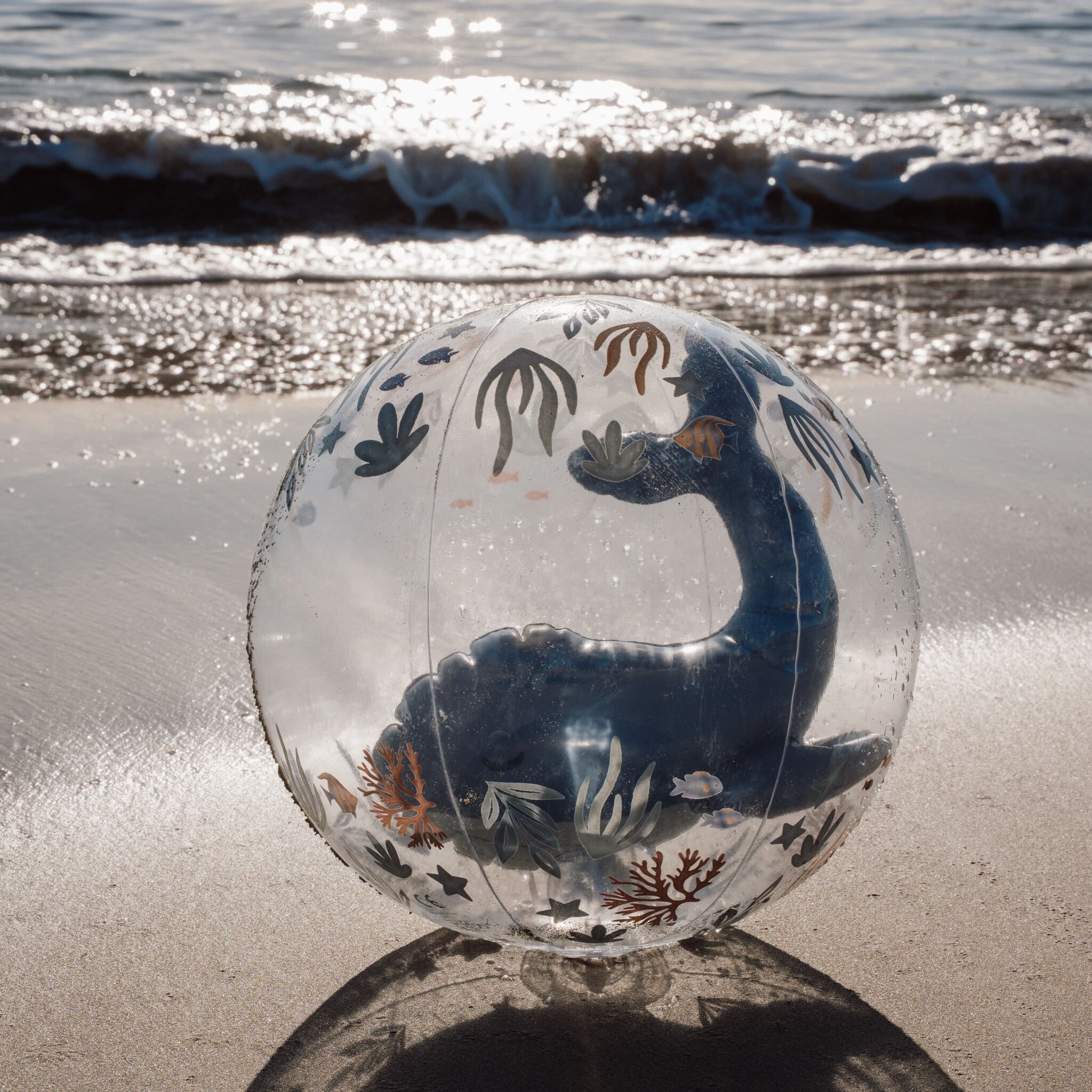 Wasserball 3D Ocean World