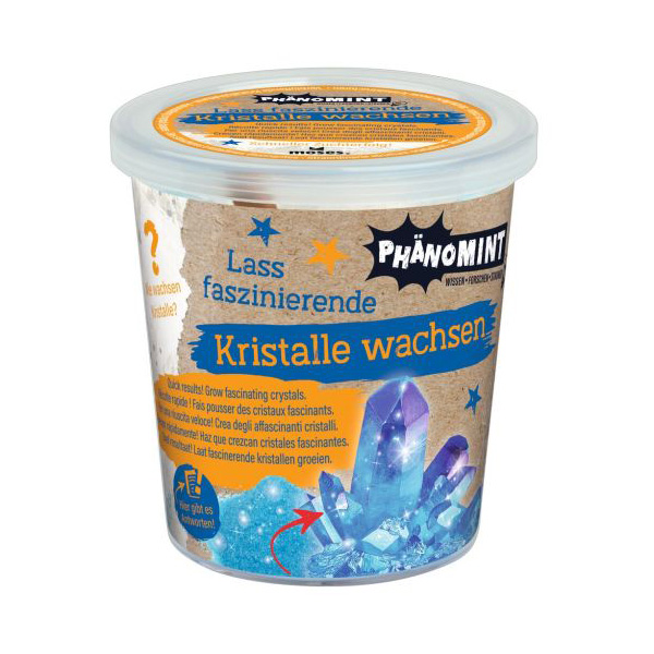 PhänoMINT Kristalle züchten