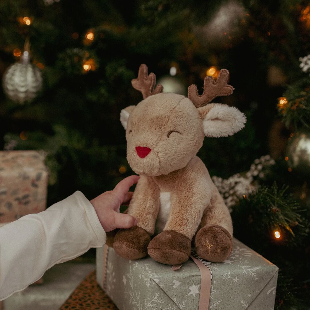 Geschenkeset Weihnachten