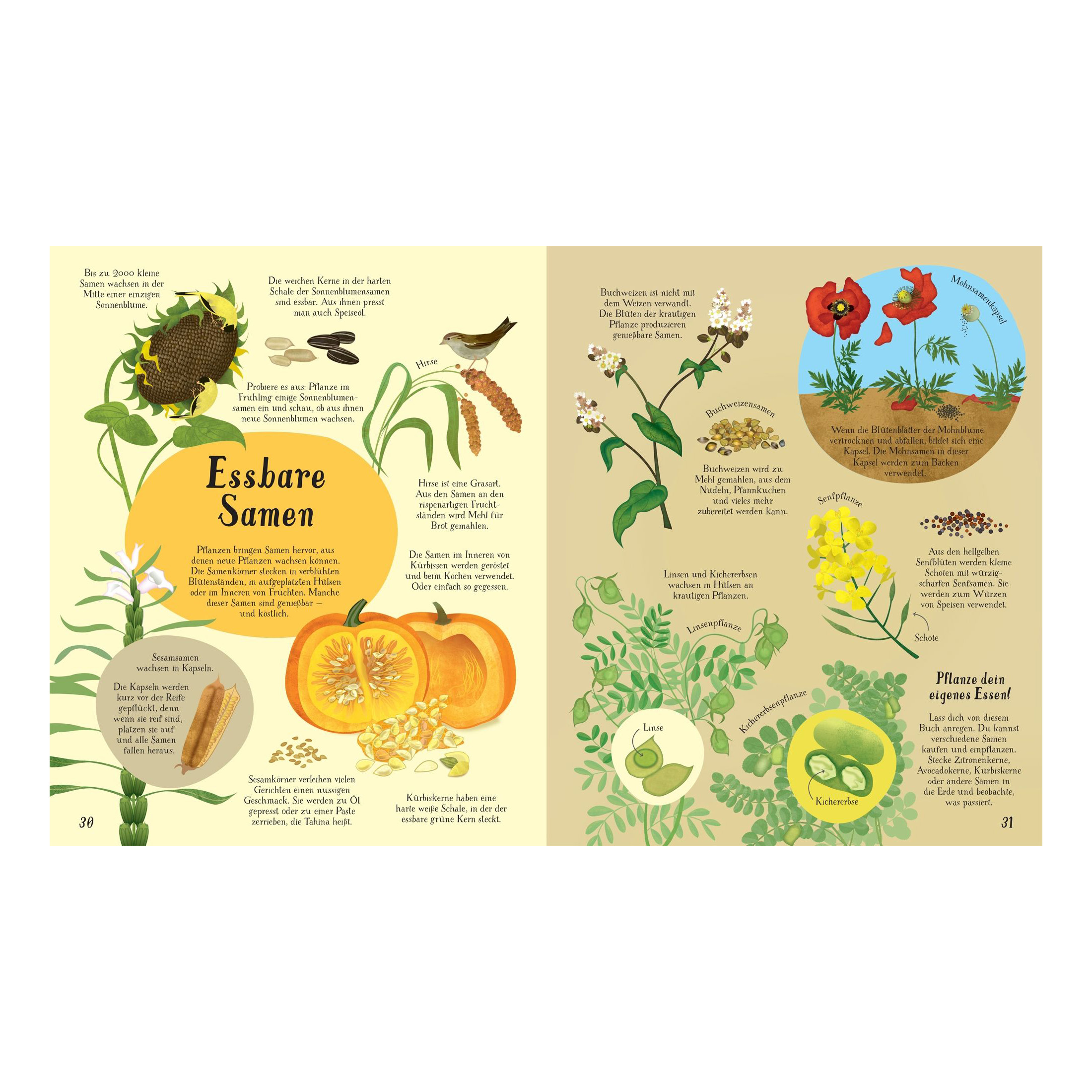 So wächst unser Essen!