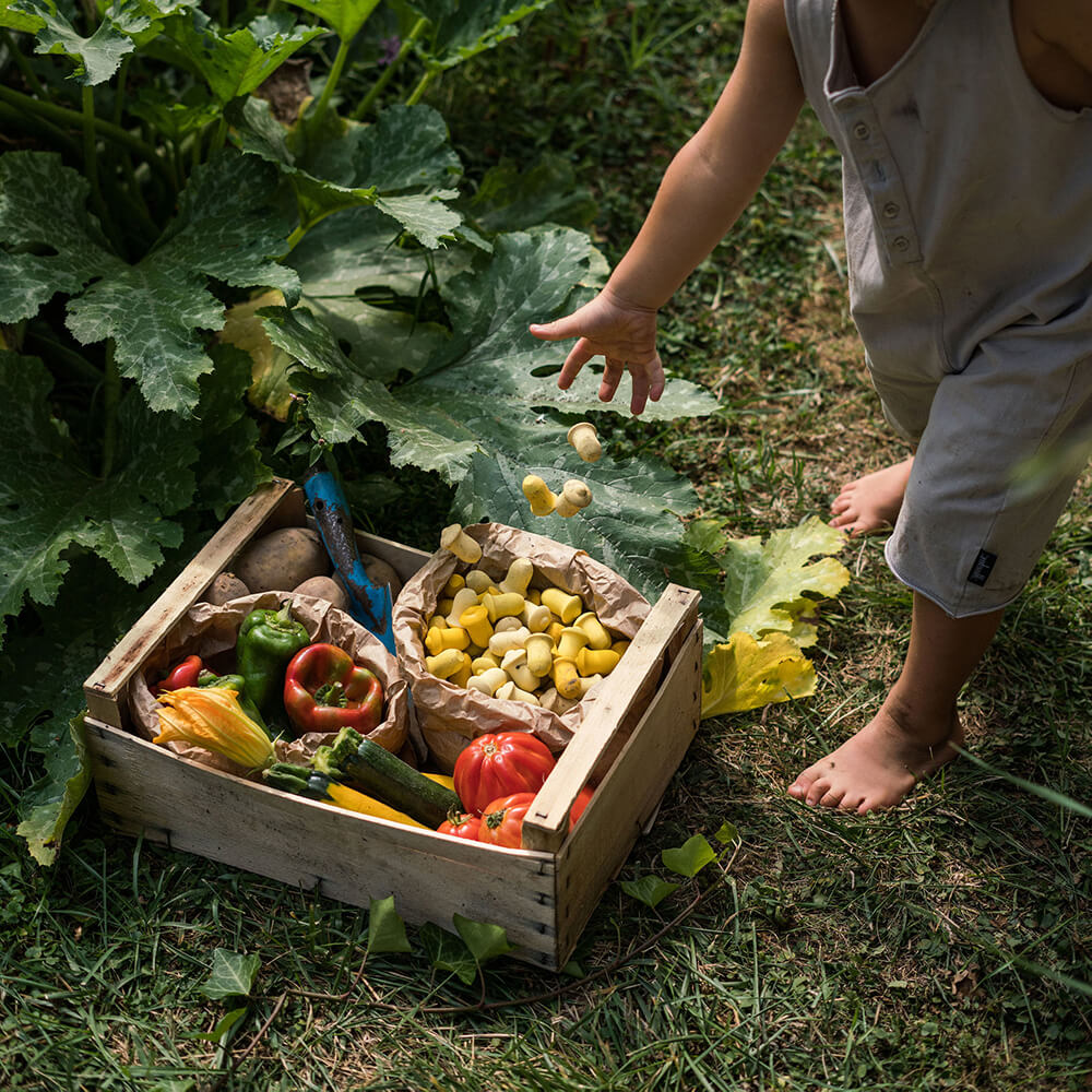 Mandala Set Tulip Mandala Set Tulip
