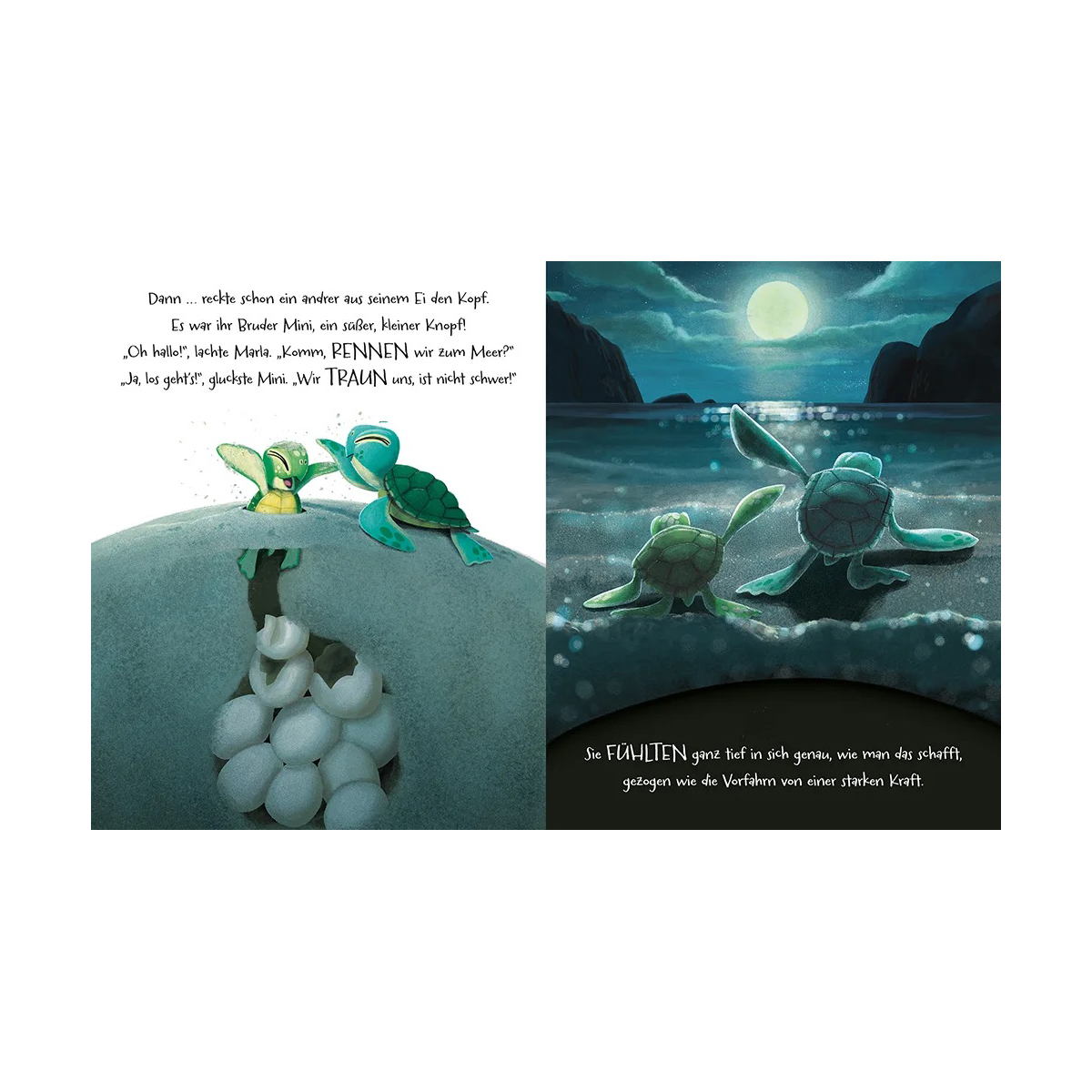 Geh deinen Weg, Schildkröte