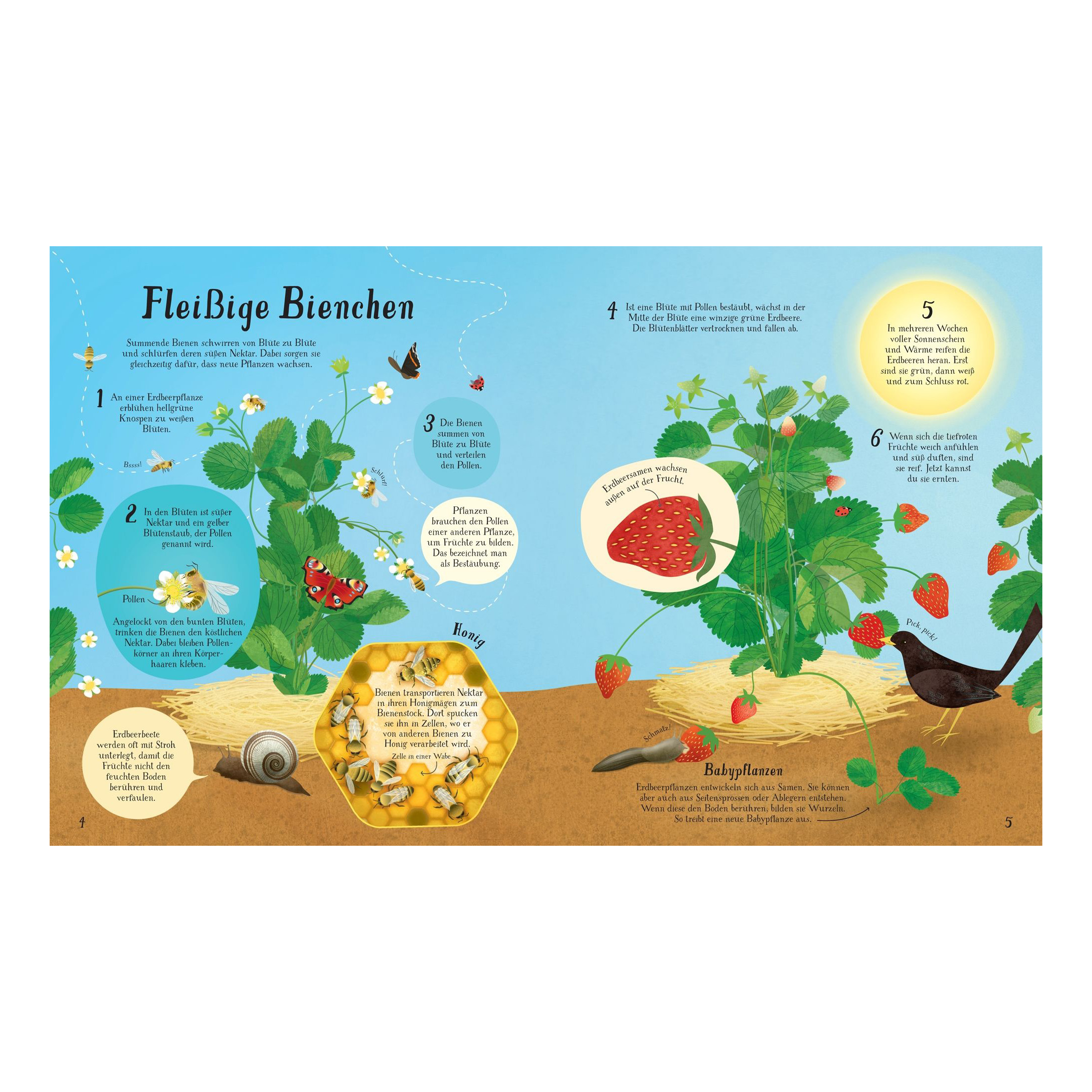 So wächst unser Essen!