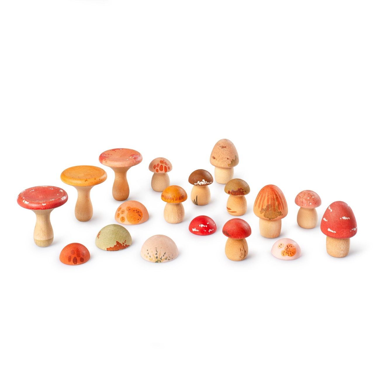 Mushroom Grove