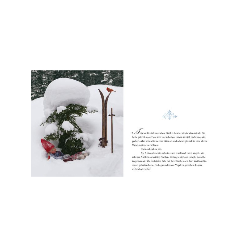 Ein wunderbarer Weihnachtswunsch Ein wunderbarer Weihnachtswunsch