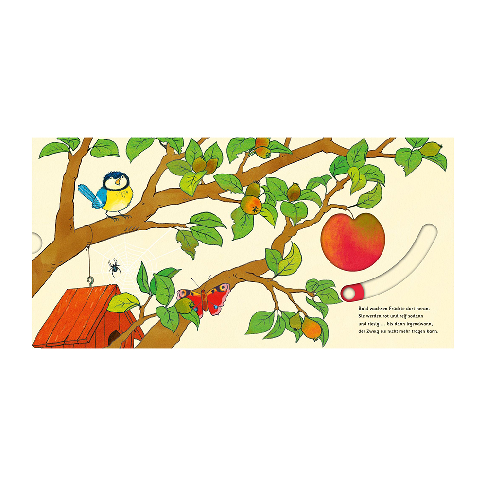 Das Apfelwunder Das Apfelwunder