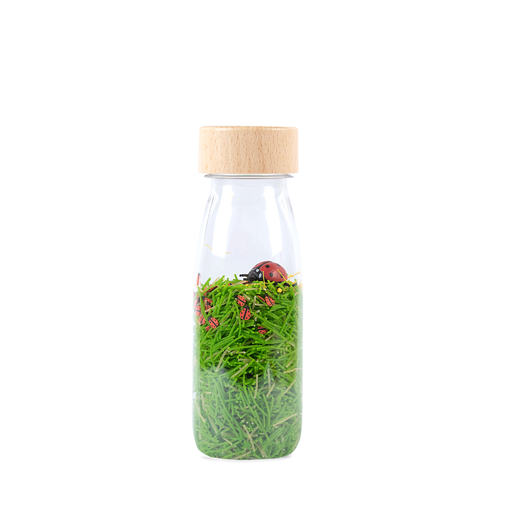 Sensorische Flasche Sound Ladybirds Sensorische Flasche Sound Ladybirds