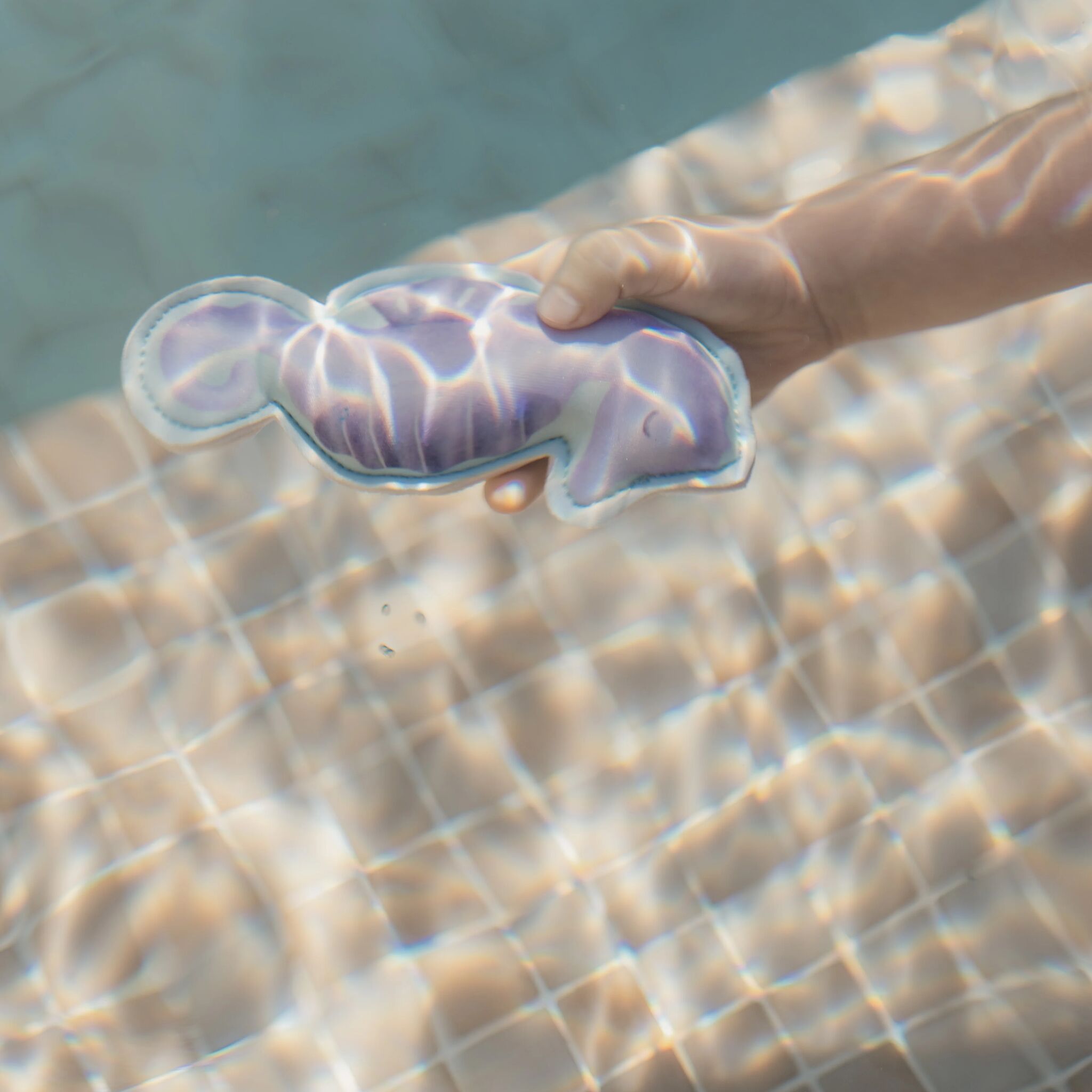 Tauchtiere Dreamy Mermaid