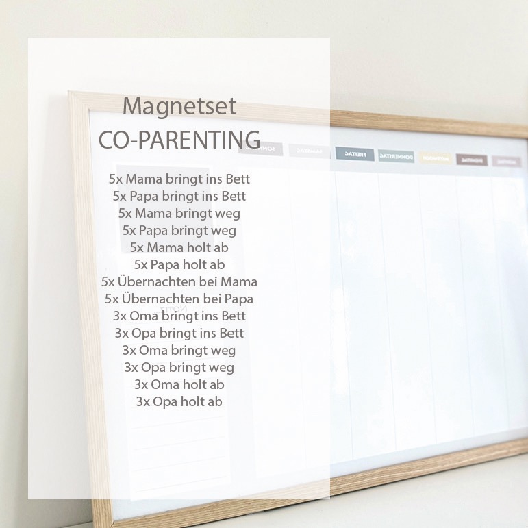 Magnet Set Co-Parenting