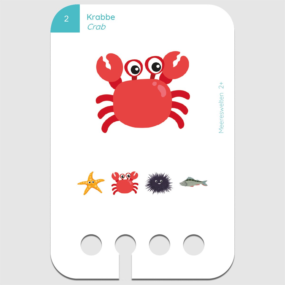 Lochkasten Kartensatz 2+ Wasserwelten Lochkasten Kartensatz 2+ Wasserwelten