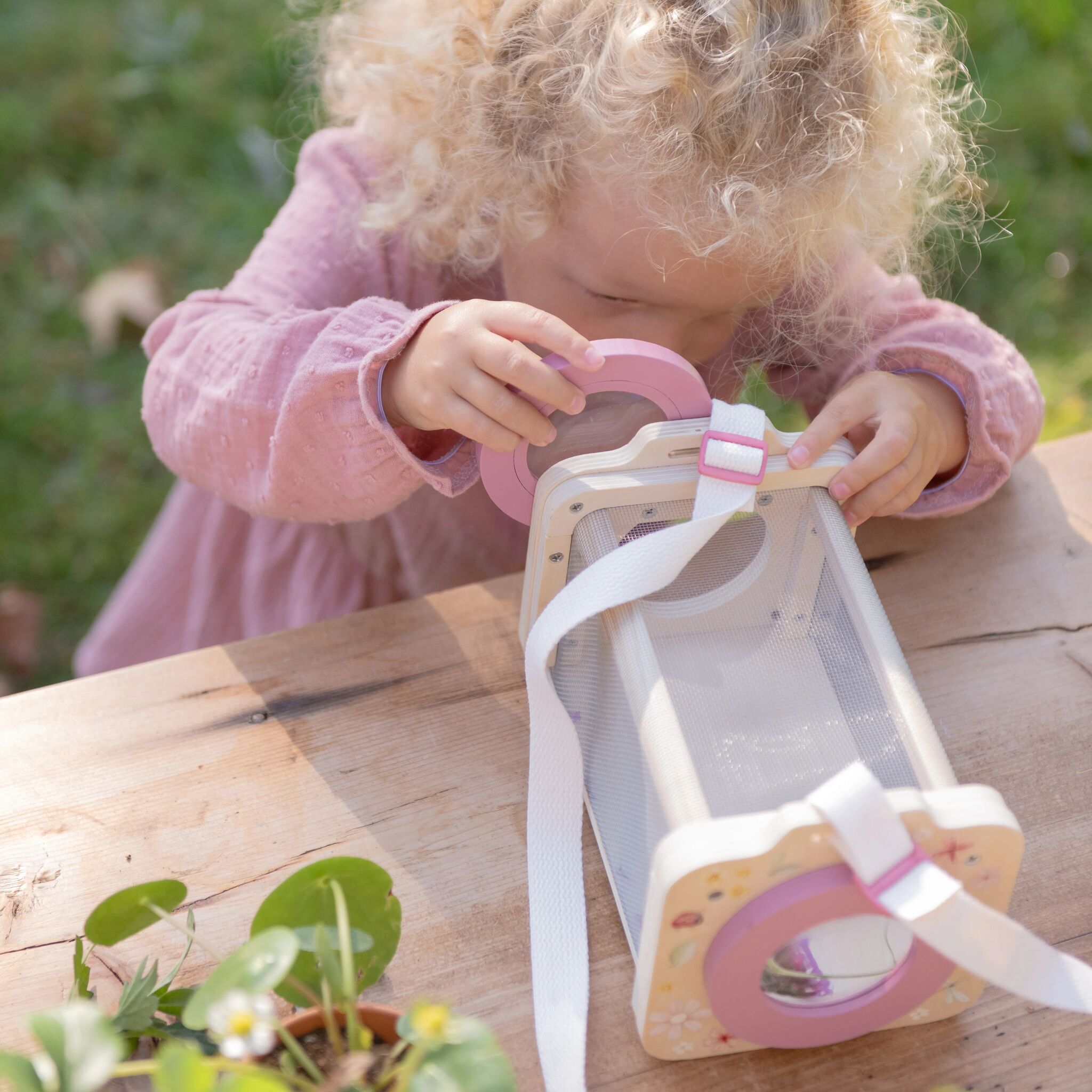 Insektenbox Fairy Garden
