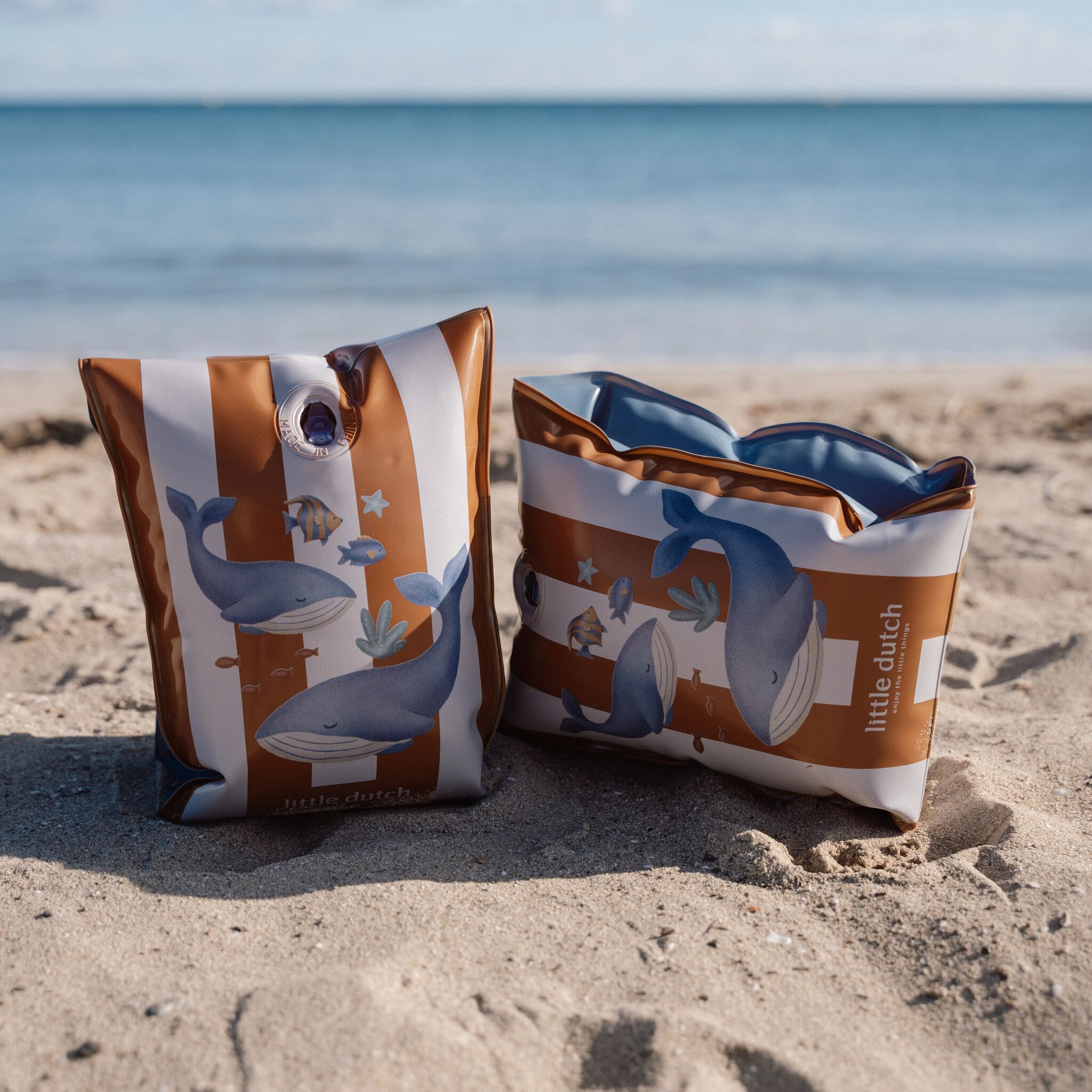 Schwimmflügel Ocean World