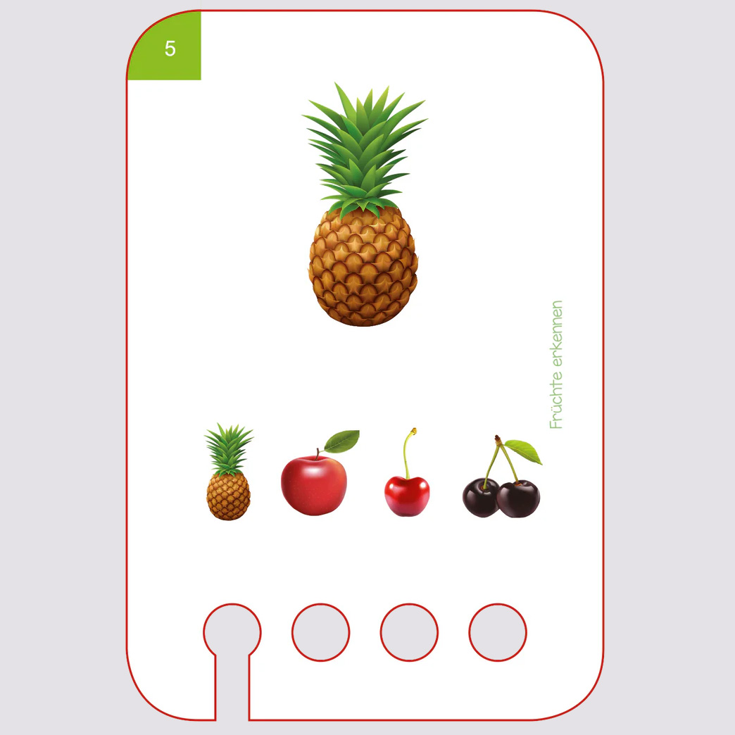 Lochkasten Starterset für 2-Jährige Lochkasten Starterset für 2-Jährige