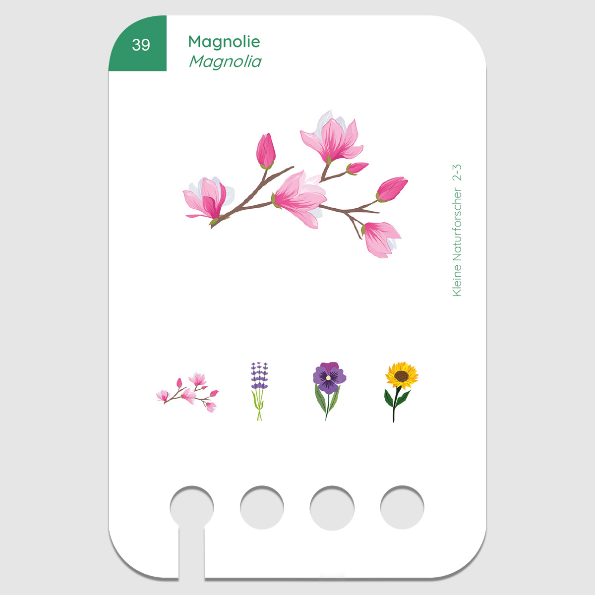 Lochkasten Kartensatz 2-3 Kleine Naturforscher Lochkasten Kartensatz 2-3 Kleine Naturforscher