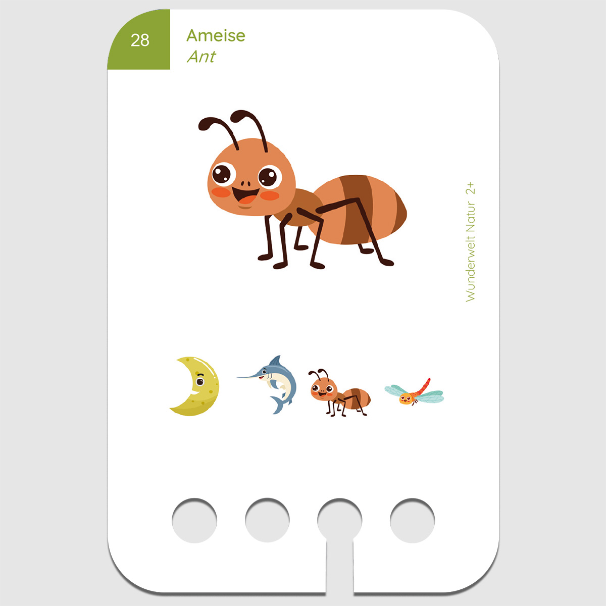 Lochkasten Kartensatz 2+ Wunderwelt Natur Lochkasten Kartensatz 2+ Wunderwelt Natur