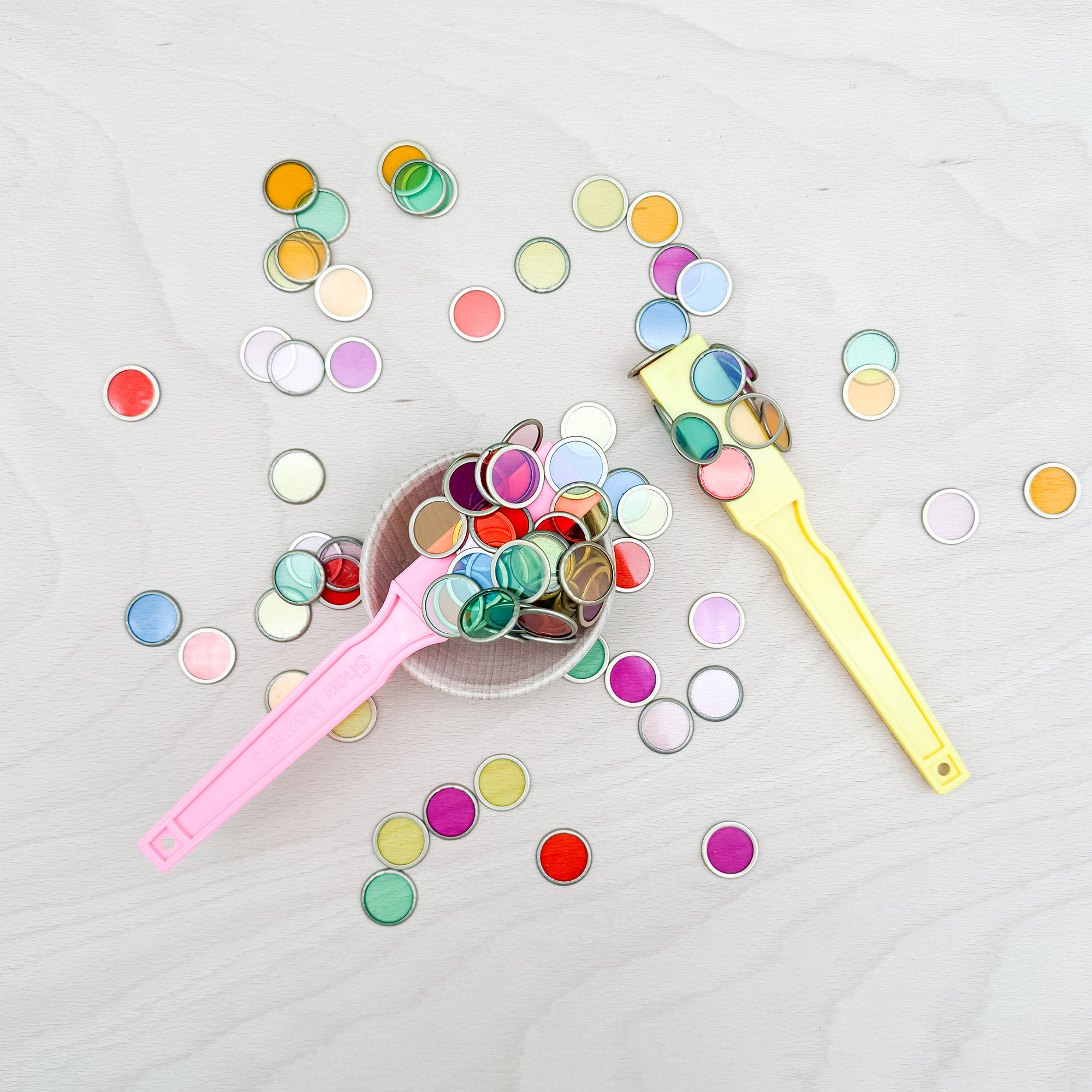 Magnetstab Set mit 100 Chips