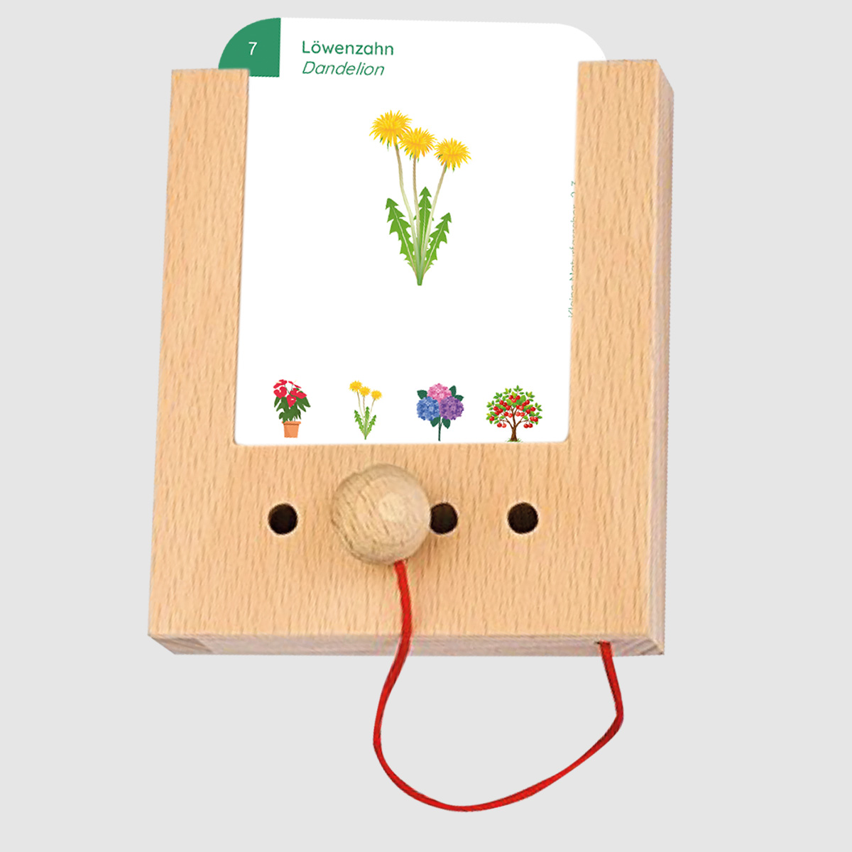 Lochkasten Kartensatz 2-3 Kleine Naturforscher Lochkasten Kartensatz 2-3 Kleine Naturforscher