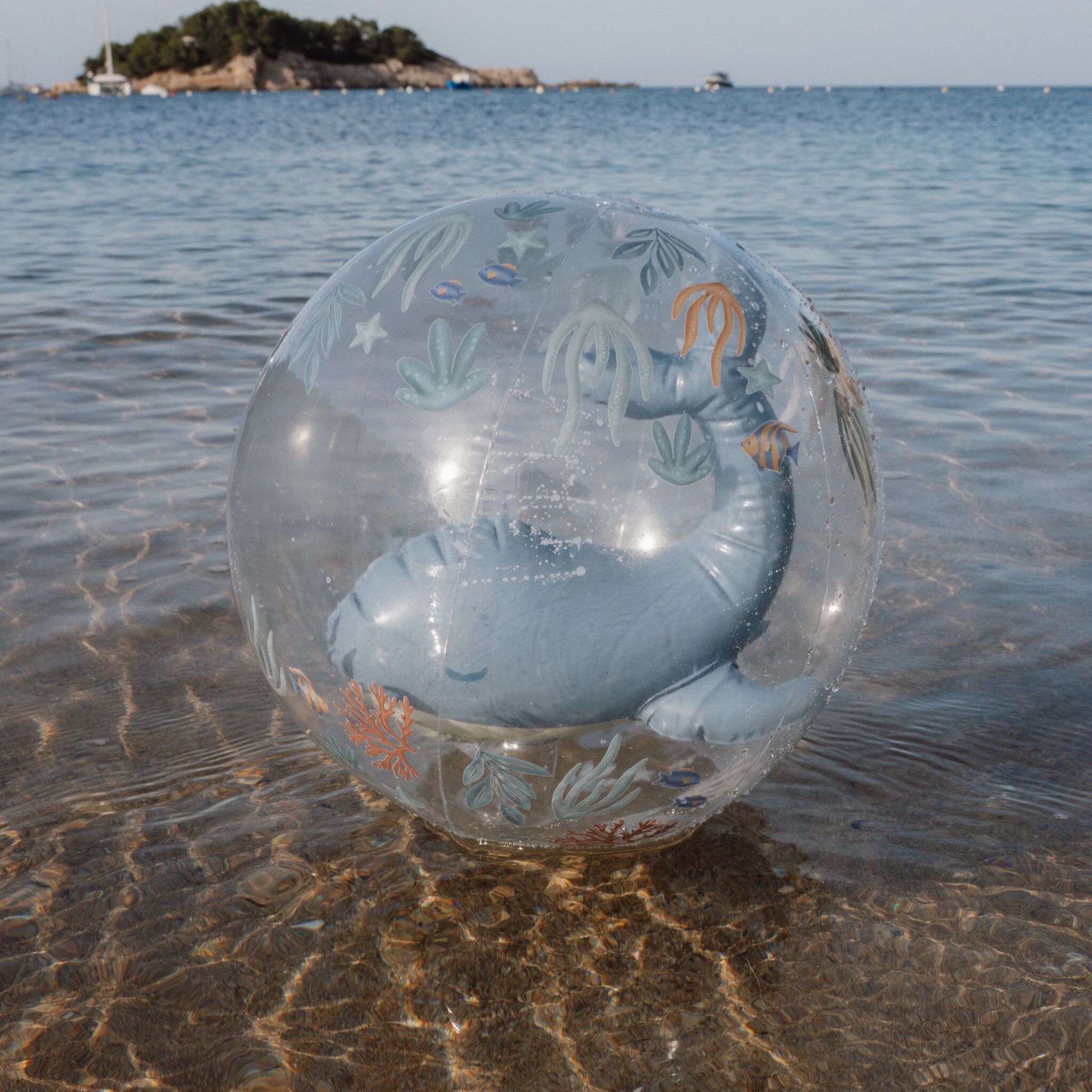 Wasserball 3D Ocean World