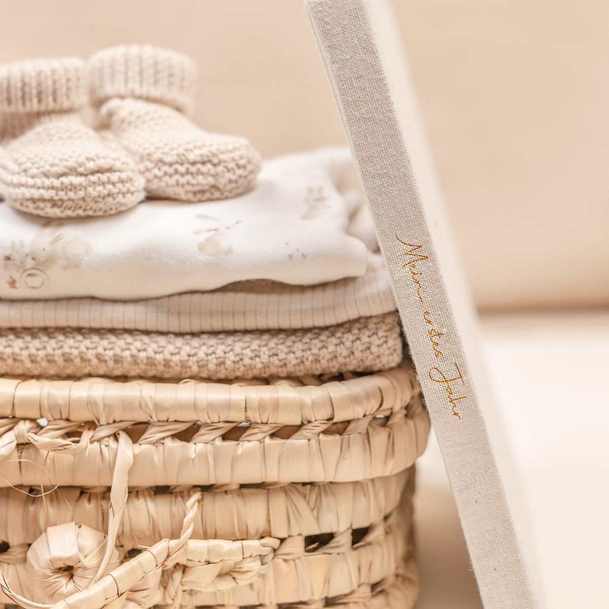 Baby erstes Jahr Buch Baby Bunny Baby erstes Jahr Buch Baby Bunny