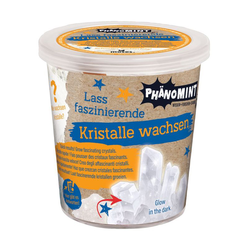 PhänoMINT Kristalle züchten