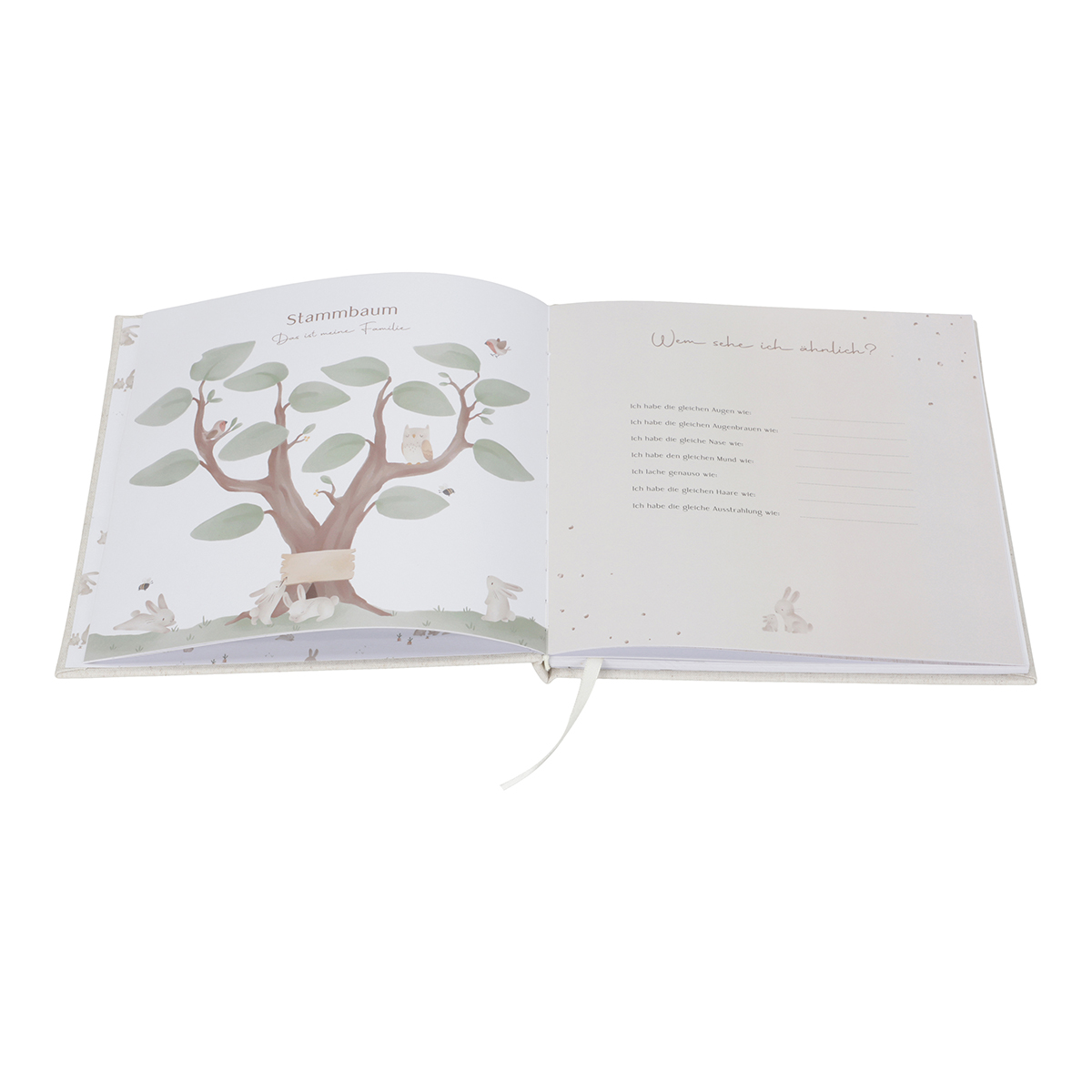 Baby erstes Jahr Buch Baby Bunny Baby erstes Jahr Buch Baby Bunny