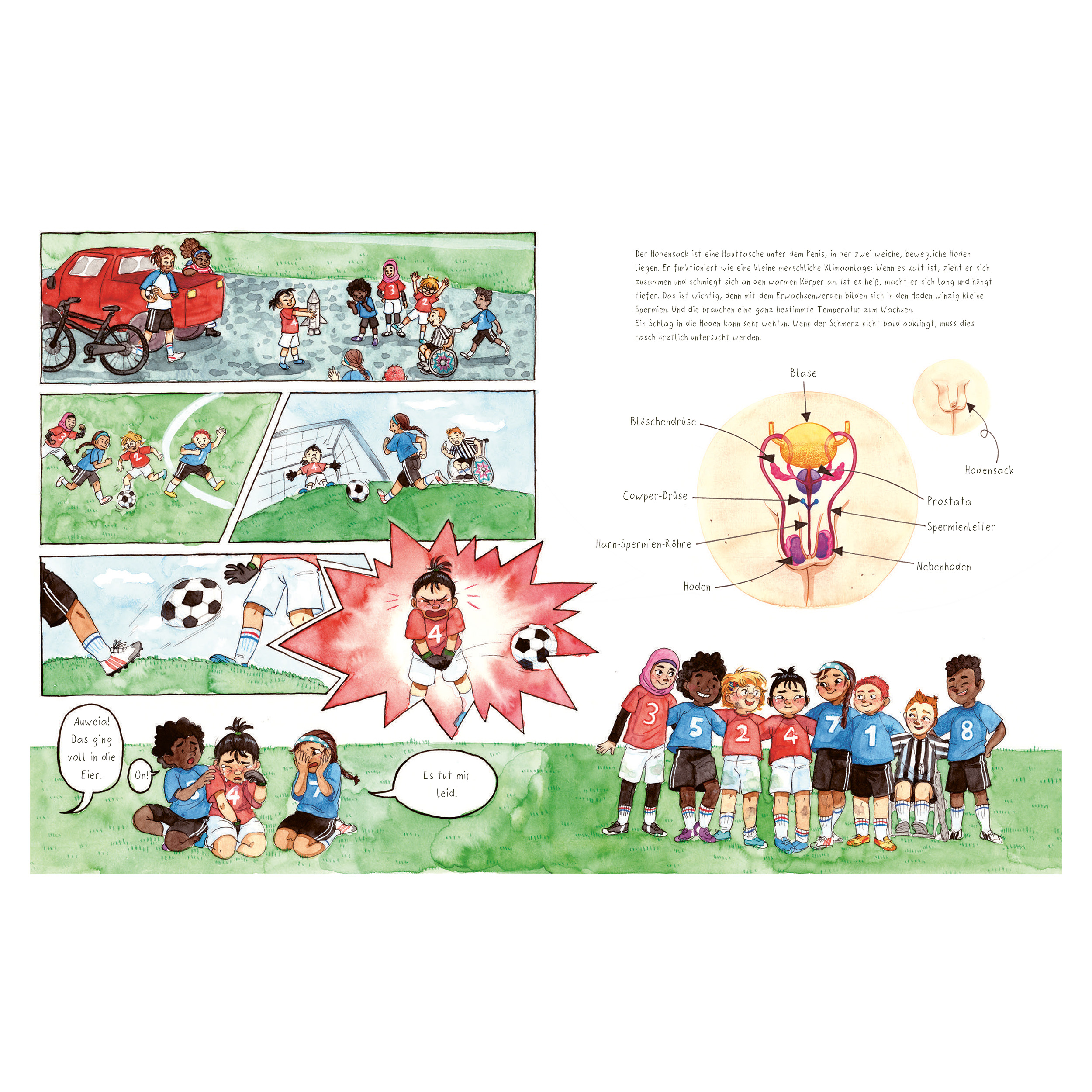 Bruno will hoch hinaus