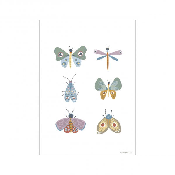Poster Schmetterling