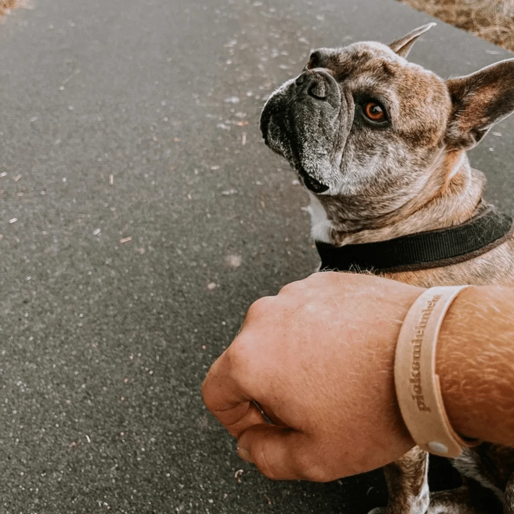 Anti-Mücken Armbänder 