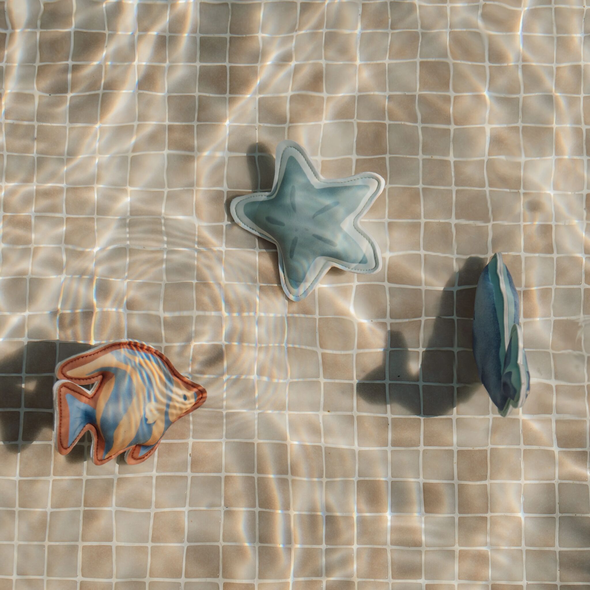 Tauchtiere Ocean World