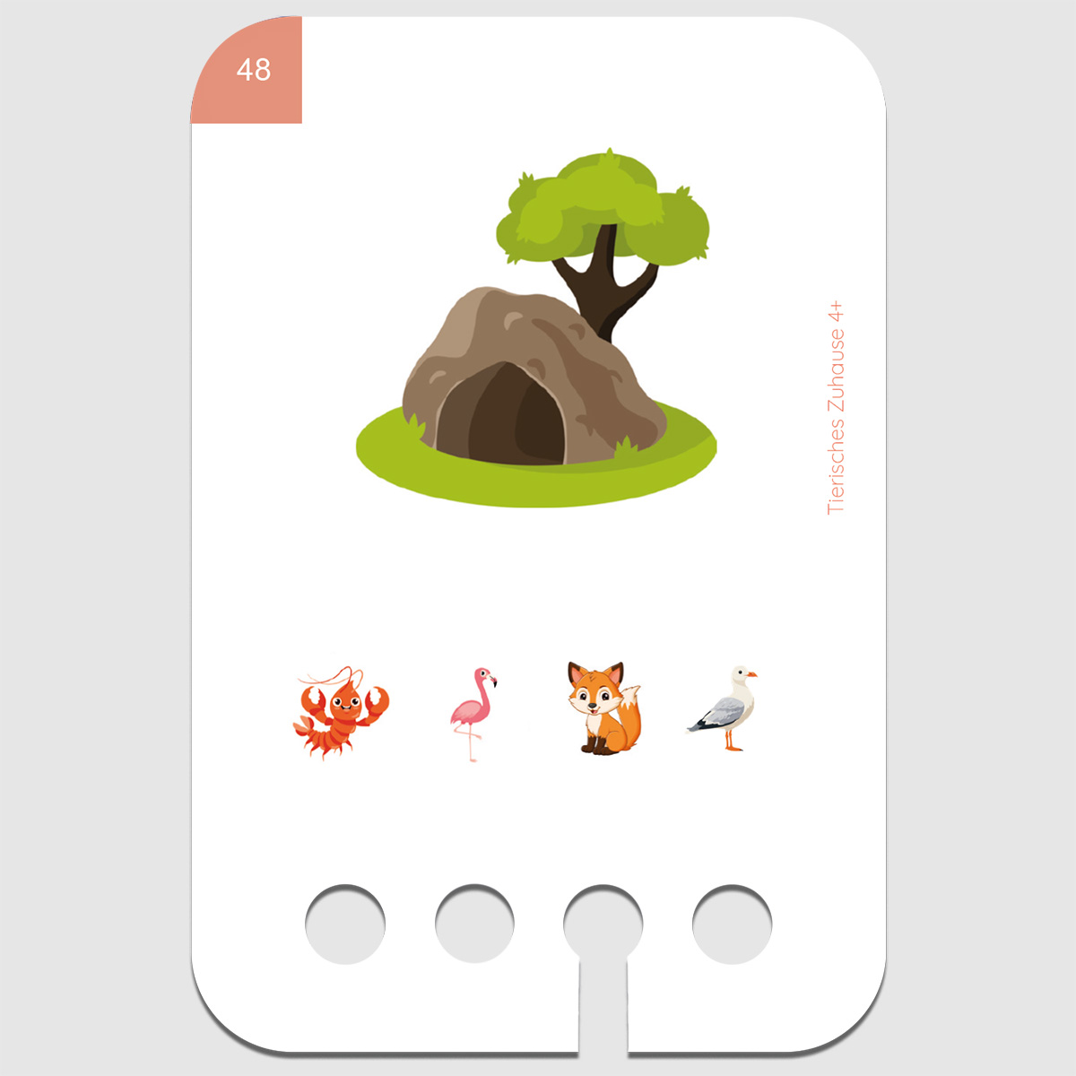 Lochkasten Kartensatz 4+ Tierisches Zuhause Lochkasten Kartensatz 4+ Tierisches Zuhause