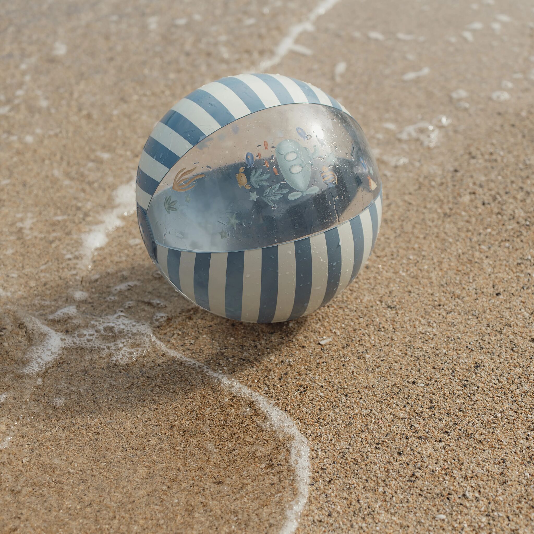 Wasserball Ocean World