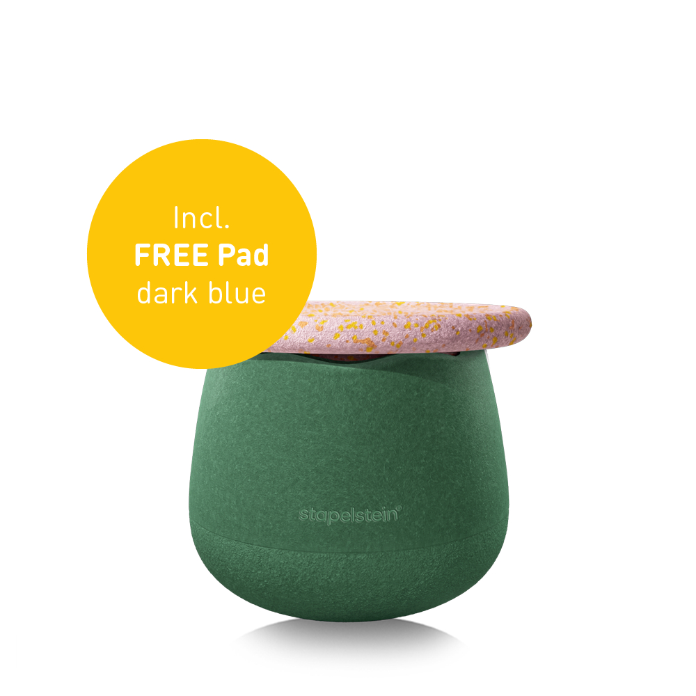 Spring Special Dynamic small water lily