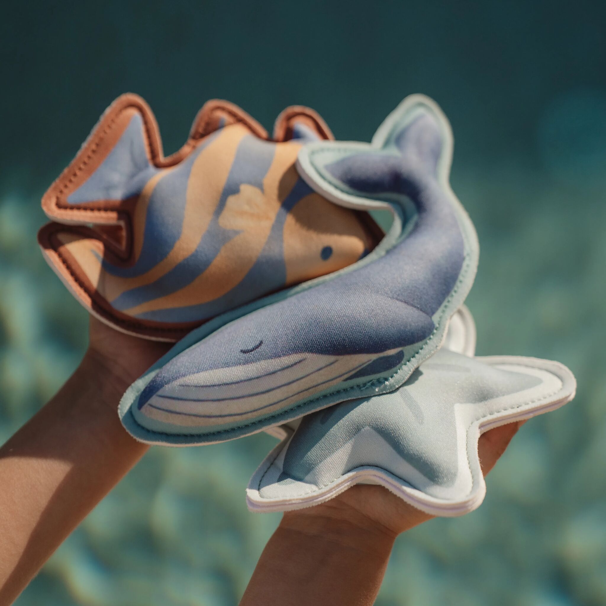 Tauchtiere Ocean World