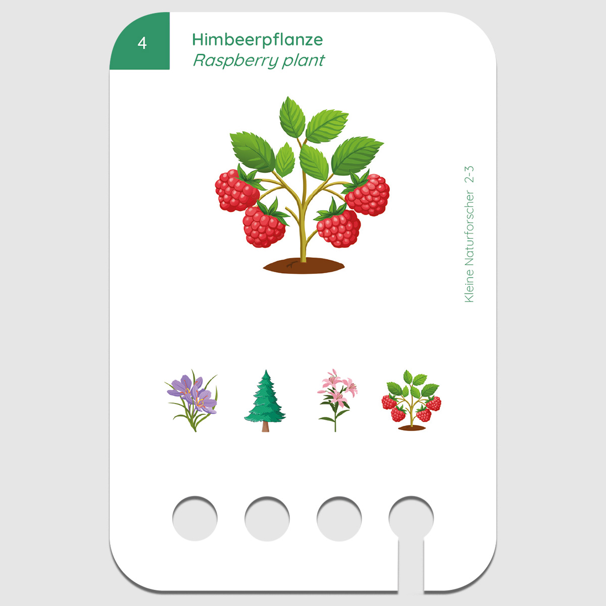 Lochkasten Kartensatz 2-3 Kleine Naturforscher Lochkasten Kartensatz 2-3 Kleine Naturforscher